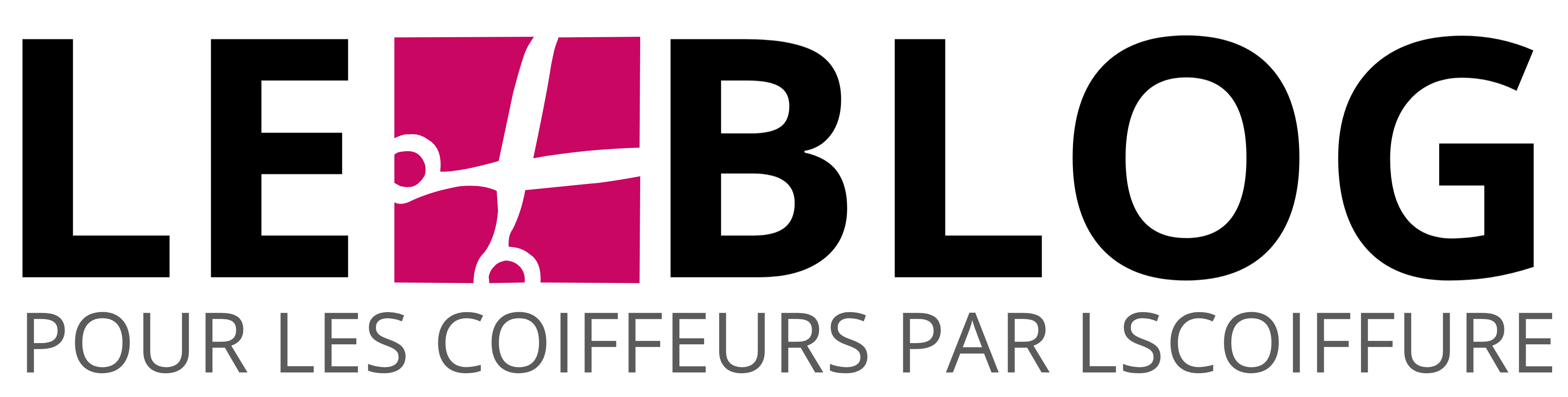 le blog lscoiffure 2 logo 3