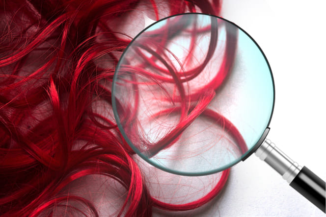 la reglementation de la coiffure - lscoiffure le blog