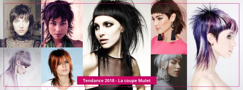 La-coupe-Mulet-fait-son-retour